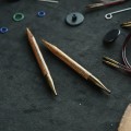 Ginger